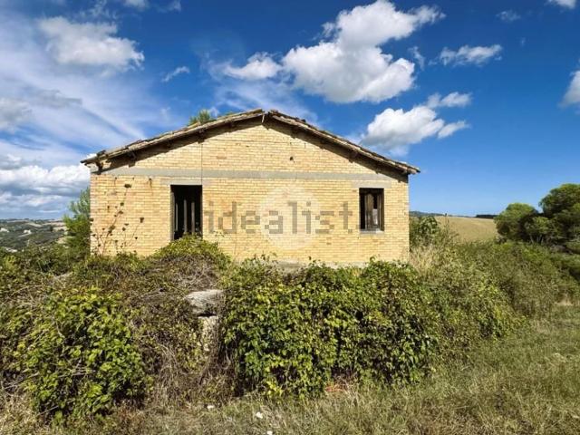 Rustici e casali in vendita di 60000 m² in Contrada Tesino