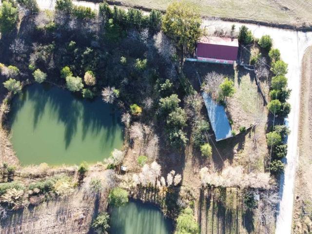 Rustici e casali in vendita di 6000 m²
