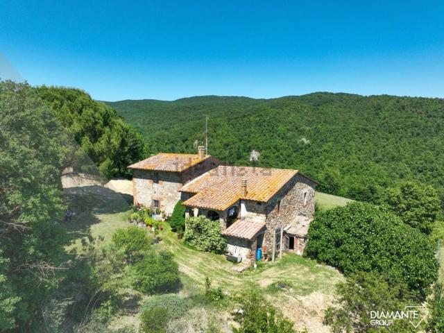 Rustici e casali in vendita di 600 m²
