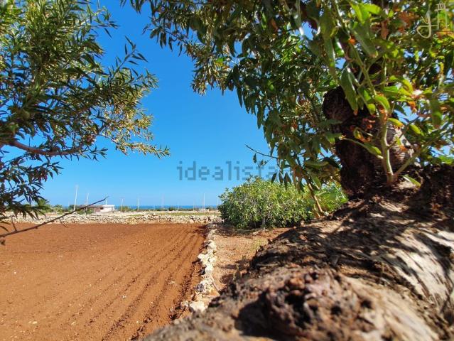 Rustici e casali in vendita di 6015 m² in Strada Comunale Santa Barbara