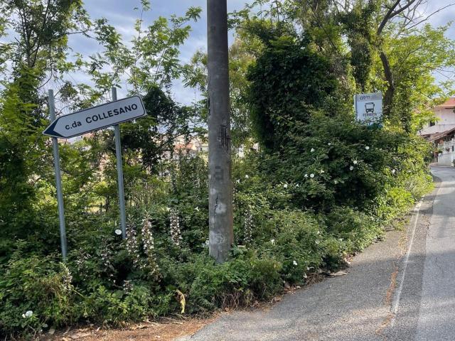 Rustici e casali in vendita di 60 m² in Contrada collesano Castanea delle furie