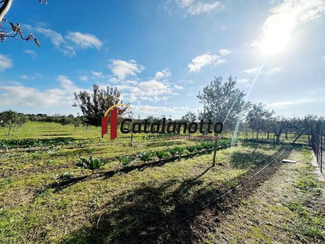 Rustici e casali in vendita di 60 m² in Contrada Fontanelle