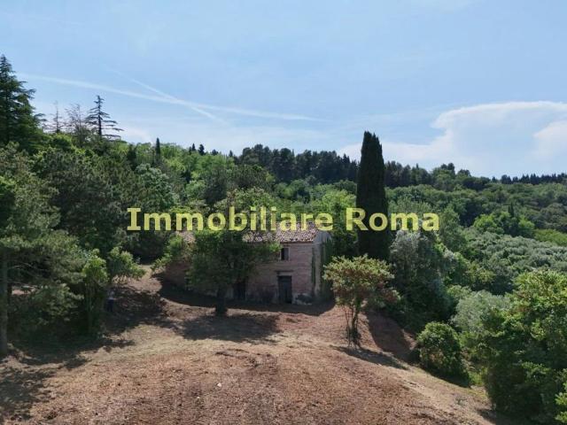 Rustici e casali in vendita di 649 m² in Via Mombaroccio, 22