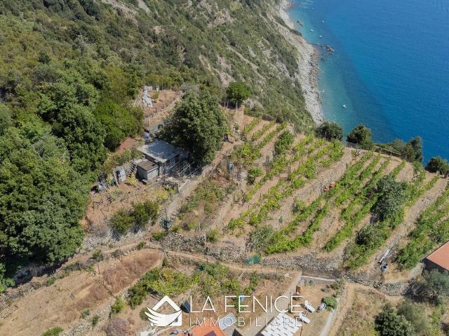 Rustici e casali in vendita di 64 m² in Strada Provinciale delle Cinque Terre