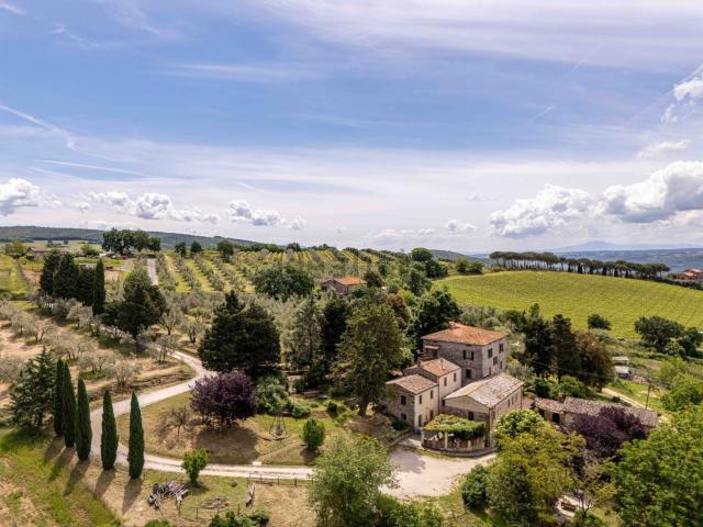 Rustici e casali in vendita di 650 m²