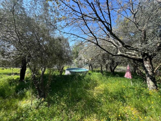 Rustici e casali in vendita di 65 m²