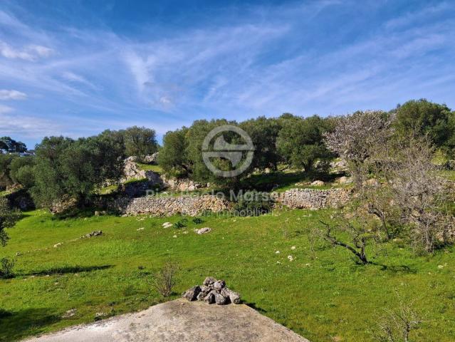 Rustici e casali in vendita di 65 m² in Contrada Badessa