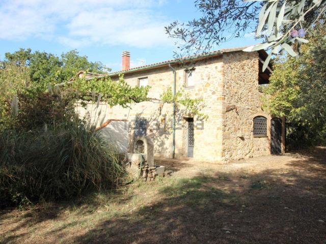 Rustici e casali in vendita di 700 m²
