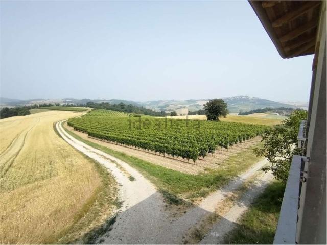 Rustici e casali in vendita di 700 m²