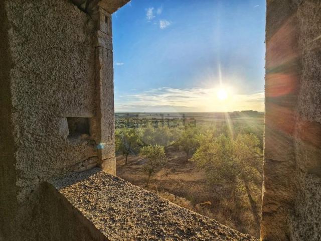 Rustici e casali in vendita di 700 m² in Contrada Piano