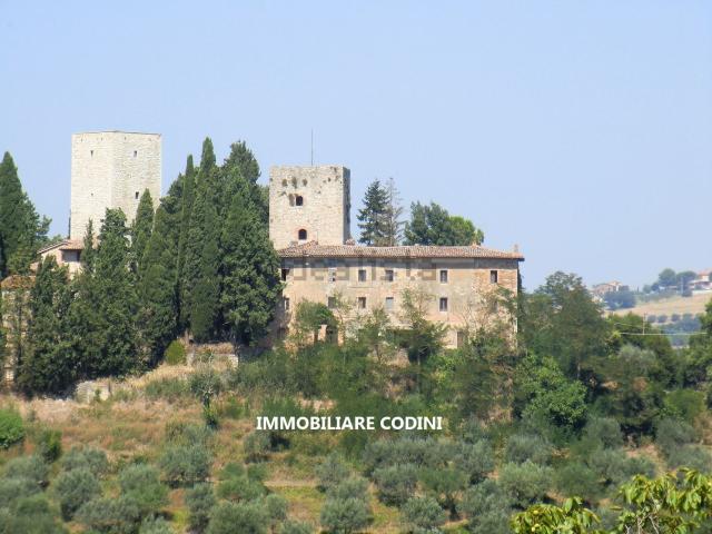 Rustici e casali in vendita di 700 m² in Frazione Cecanibbi