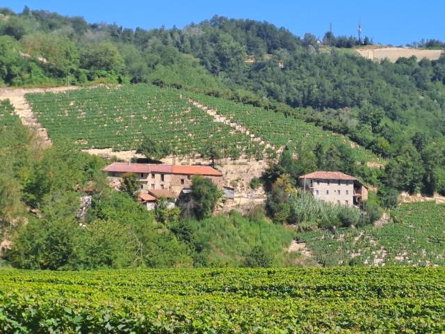 Rustici e casali in vendita di 700 m² in Strada sieiz