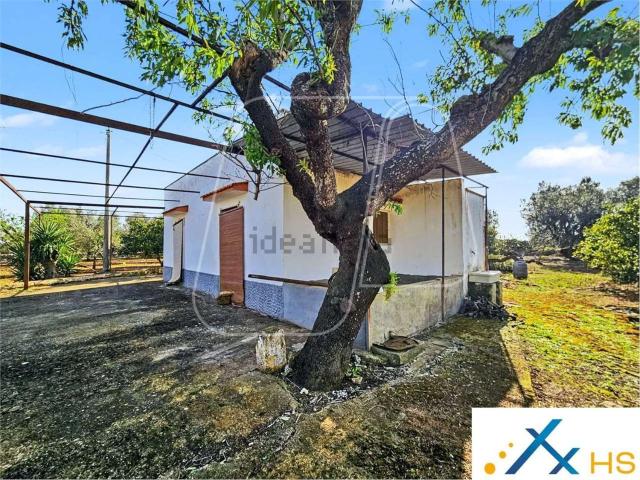 Rustici e casali in vendita di 70 m²