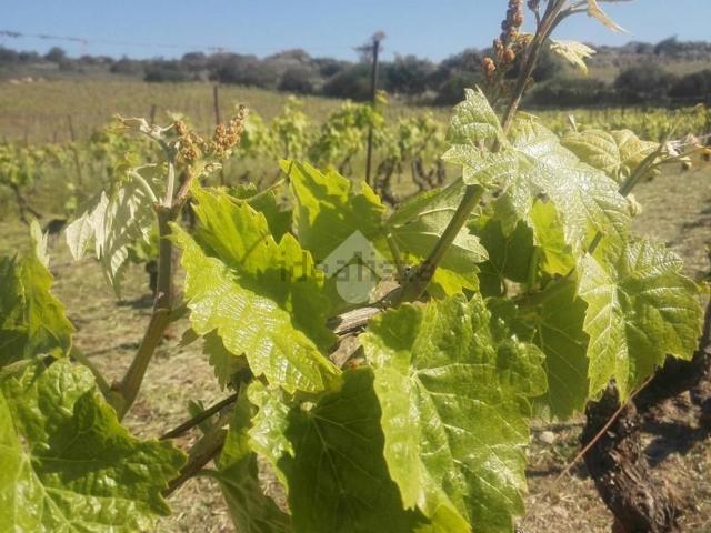 Rustici e casali in vendita di 70 m²