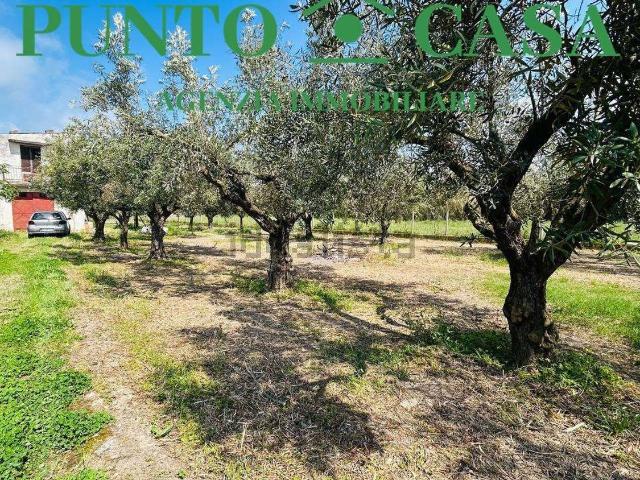 Rustici e casali in vendita di 70 m² in Via delle Palme