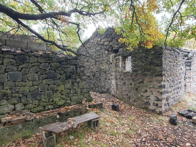 Rustici e casali in vendita di 70 m² in Contrada Bosco