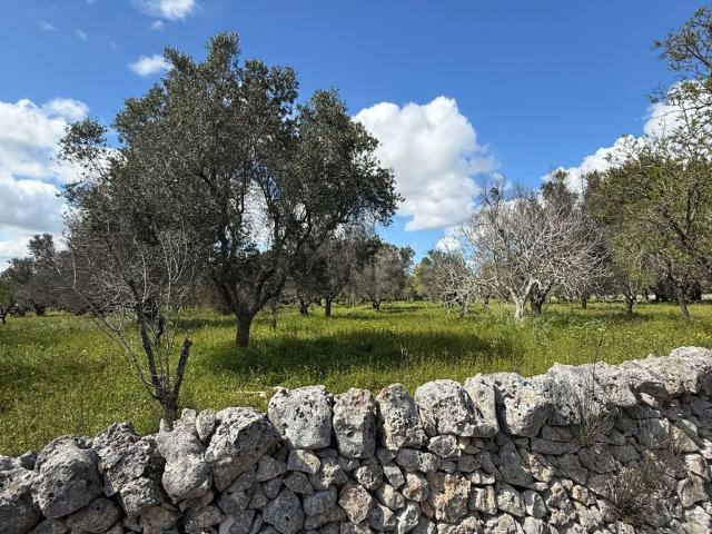 Rustici e casali in vendita di 70 m² in Contrada Colacavallo