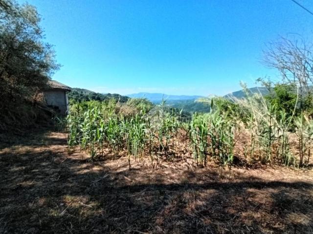 Rustici e casali in vendita di 70 m² in Località Cantarelle