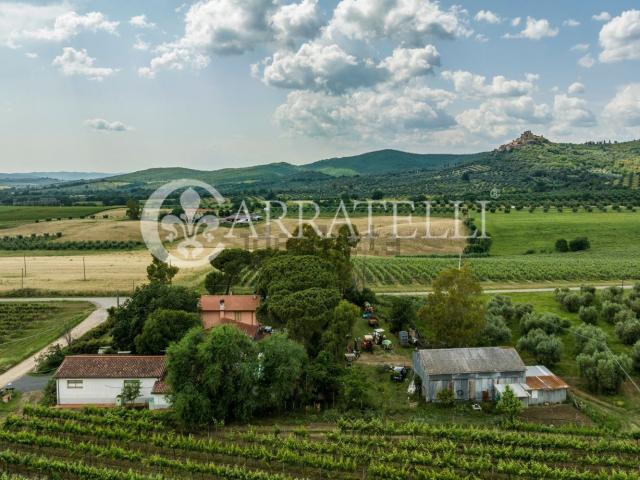 Rustici e casali in vendita di 740 m² in Strada Provinciale Pian del Bichi, 46
