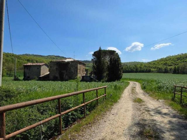 Rustici e casali in vendita di 740 m² in Via della Reglia