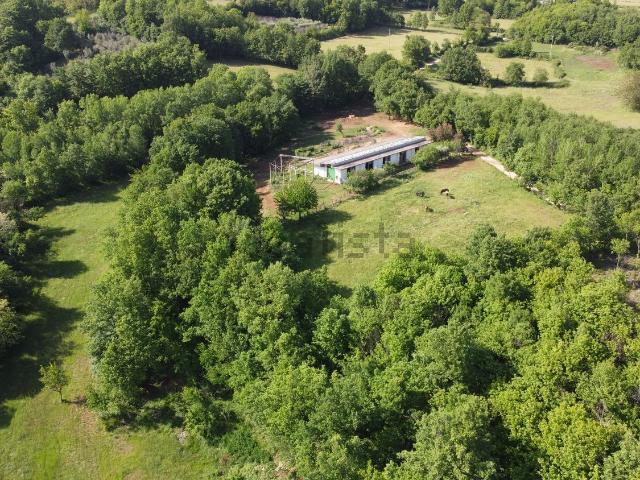 Rustici e casali in vendita di 750 m² in Via Canarolo