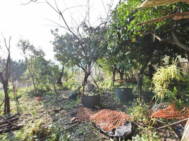 Rustici e casali in vendita di 75 m² in Contrada Lamia, 10