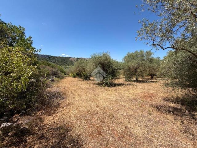 Rustici e casali in vendita di 7700 m²