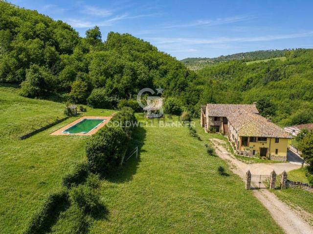 Rustici e casali in vendita di 770 m²