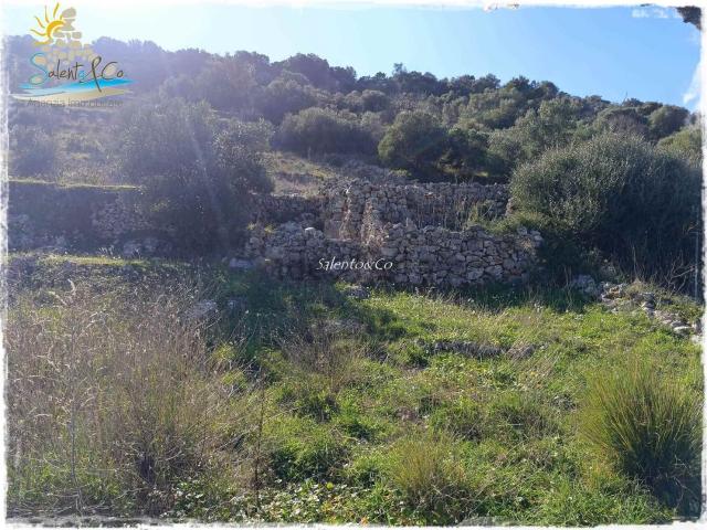 Rustici e casali in vendita di 77 m² in Contrada AGNANO