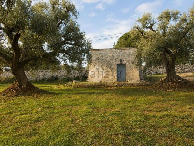 Rustici e casali in vendita di 80000 m²