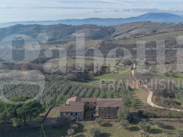 Rustici e casali in vendita di 800 m² in Strada Pianello Monteverde, 1