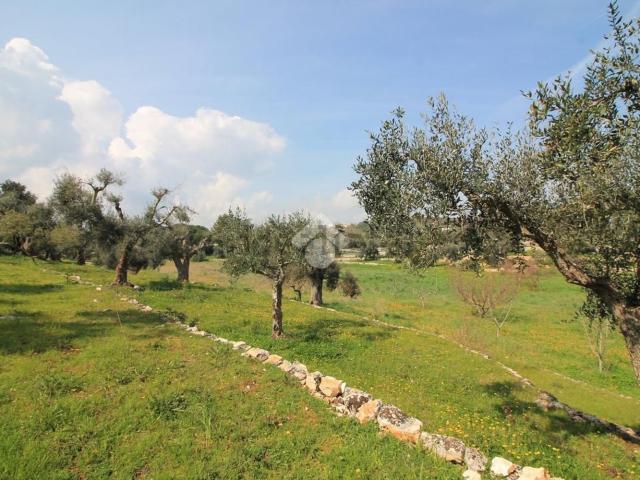 Rustici e casali in vendita di 60 m²