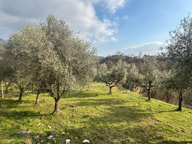 Rustici e casali in vendita di 80 m² in Via Casale Basso