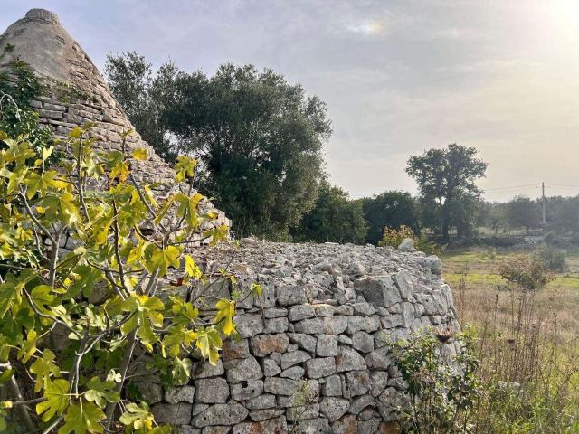 Rustici e casali in vendita di 80 m² in Strada Comunale San Michele