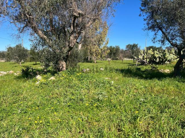 Rustici e casali in vendita di 80 m² in Strada Provinciale 31