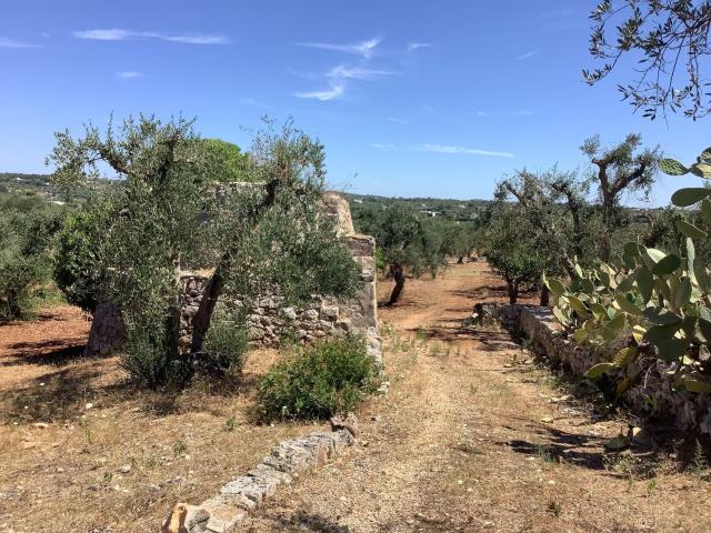 Rustici e casali in vendita di 83 m² in Contrada Cavallerizza