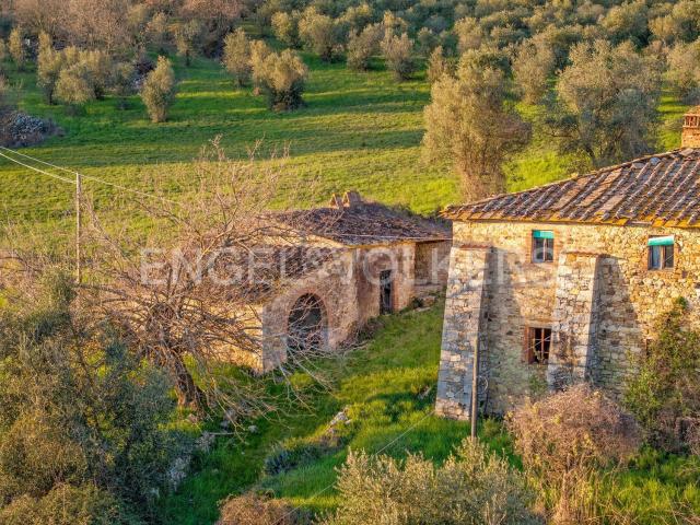 Rustici e casali in vendita di 916 m² in Località Cagnano di Sopra
