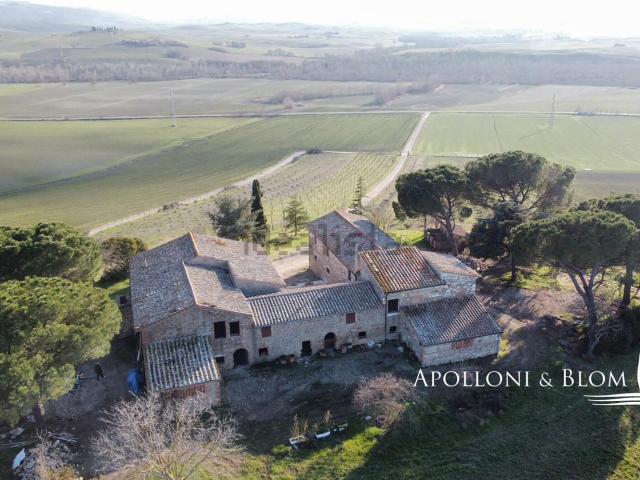 Rustici e casali in vendita di 947 m² in Via Enzo Mangiavacchi, 17