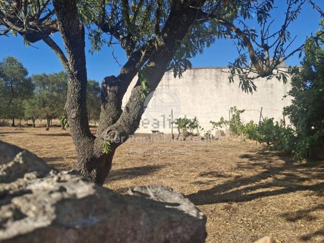 Rustici e casali in vendita di 95 m² in Contrada Traghetta