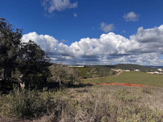 Rústico no Cerro das Taipas, São tolomeu de Messines com 5.120 m², Silves, São tolomeu de messines