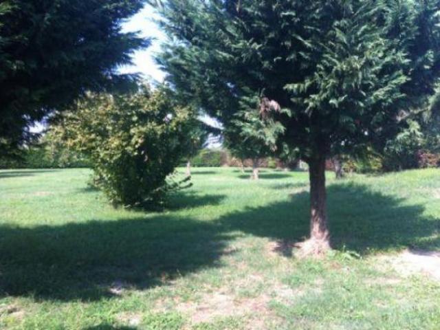 Rustico / Casale di 600 m con 5 locali e box auto in vendita a Carpi
