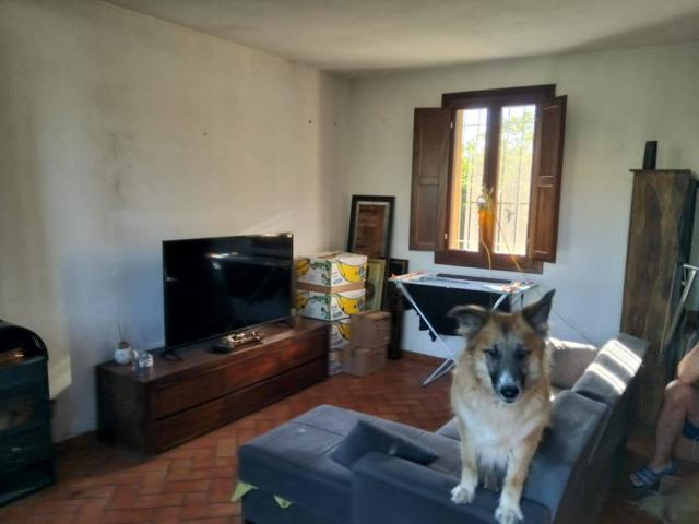 Rustico / Casale in vendita a Cotignola RA