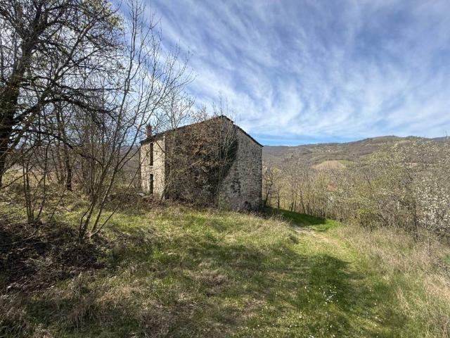 Rustico / Casale in vendita a Coli PC