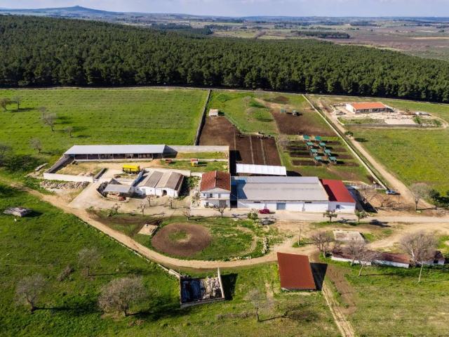 Rustico / Casale in vendita a Corato BA