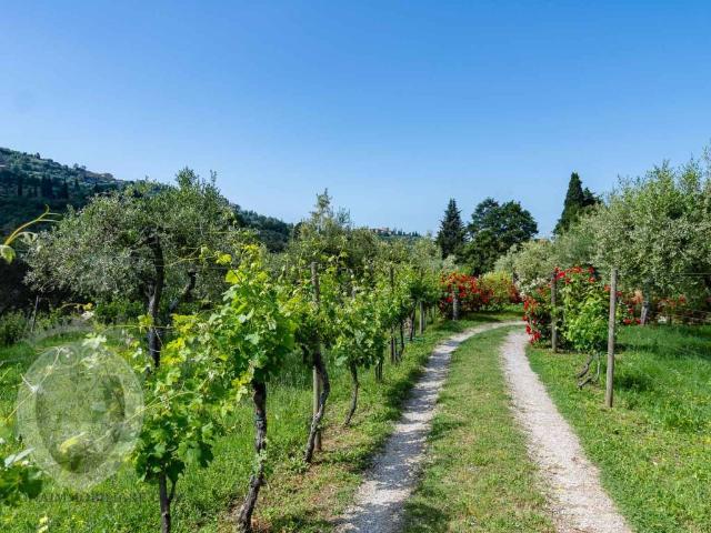 Rustico / Casale in vendita a Cortona AR