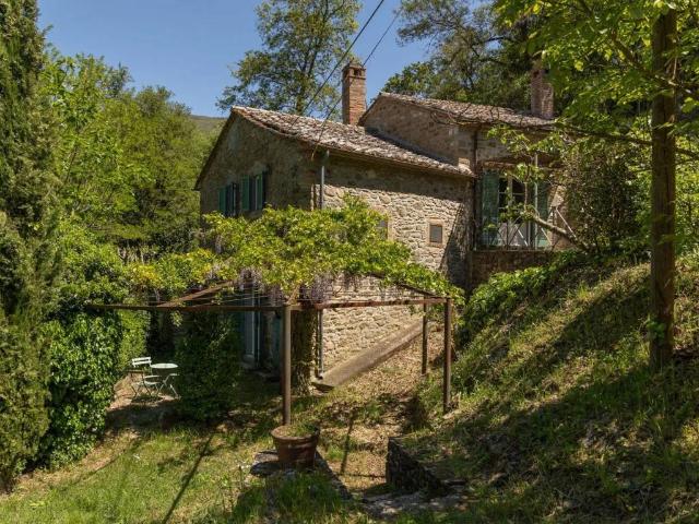 Rustico / Casale in vendita a Cortona AR