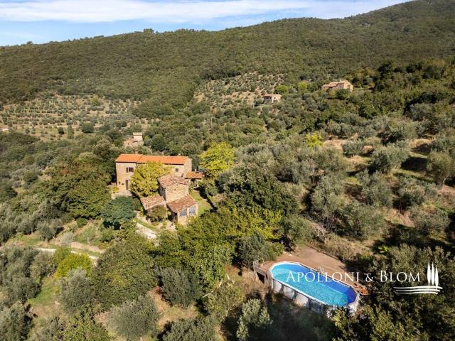 Rustico / Casale in vendita a Cortona AR