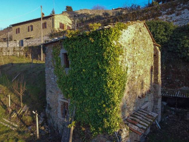 Rustico / Casale in vendita a Cortona AR