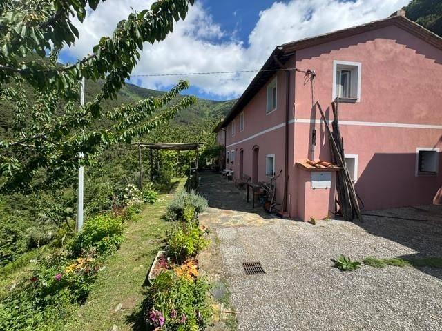 Rustico / Casale in vendita a Calci PI