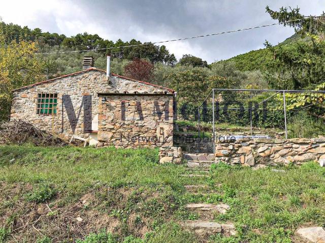 Rustico / Casale in vendita a Calci PI